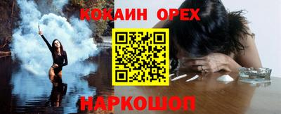 стафф Гатчина