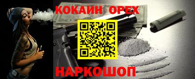 стафф Гатчина