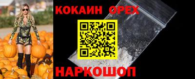стафф Гатчина