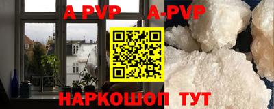 стафф Гатчина