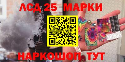 стафф Гатчина