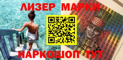 стафф Гатчина