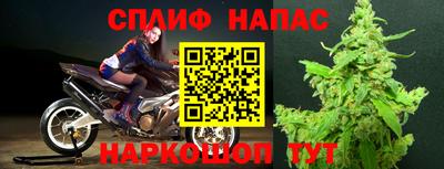 стафф Гатчина