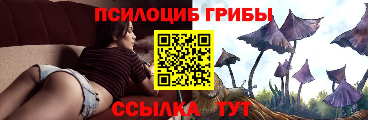 Псилоцибиновые грибы GOLDEN TEACHER  Вход с VPN  Галлюциногенные грибы Magic Shrooms  Лениногорск 